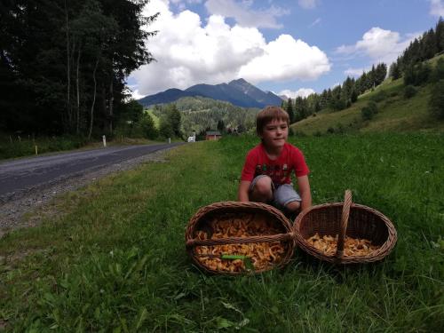 a young boy sitting in the grass next to two baskets at Ferienhaus-Römerthurm in Schöder