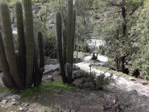 Gallery image of Refugio Piedra Madre in San José de Maipo