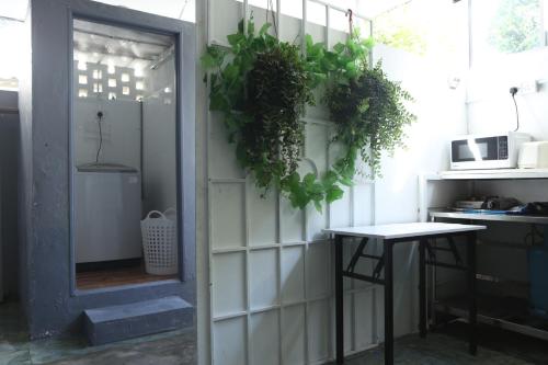 a room with a table and plants on the wall at G Beach Front Villa in Batu Ferringhi