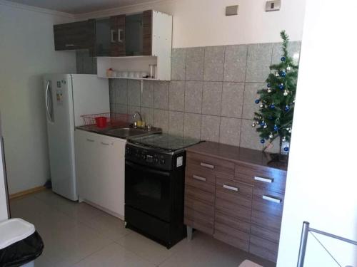 Kitchen o kitchenette sa Los Arrayanes de Harnecker