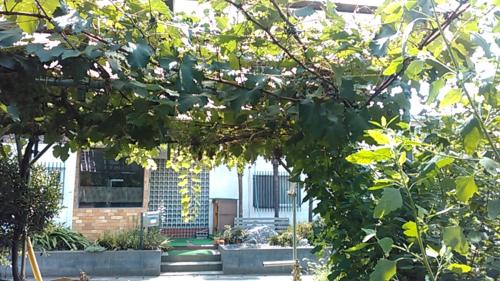 a building with a tree in front of it at "Cherry House" is Direct to Narita,Haneda AP, Disney, Asakusa, Skytree Tower, Tokyo in Matsudo
