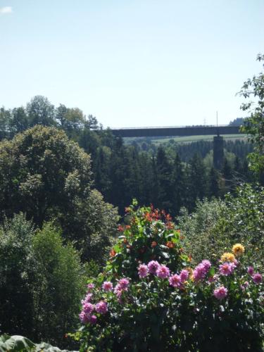 a garden with flowers and trees in the background at Landgasthaus Sonne in Freudenstadt