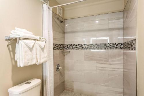 a bathroom with a shower with a toilet at Econo Lodge Inn & Suites Murfreesboro Shopping District in Murfreesboro