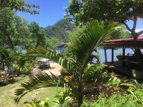 a palm tree in the yard of a resort at Raiatea sur Mer in Opoa