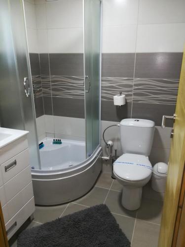 a bathroom with a shower and a toilet and a tub at Vila Jelena in Crni Vrh