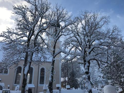 two trees covered in snow in front of a building at Zum Kirchenbauer in Oberammergau