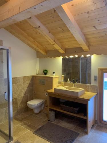 ein Bad mit einem Waschbecken und einem WC in der Unterkunft LE DARMA in Sixt