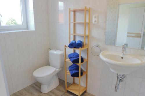 a bathroom with a toilet and a sink with blue towels at Apartments Obdach in Obdach
