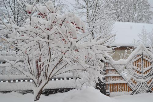 a tree covered in snow next to a house at Belle Royalle in Lisarnya