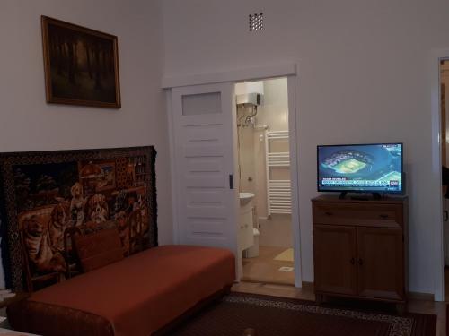 a living room with a couch and a television at Apartment in the "antique street" in Budapest