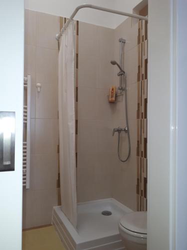 a bathroom with a shower and a toilet at Apartment in the "antique street" in Budapest