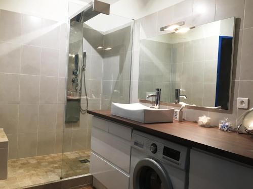 a bathroom with a sink and a washing machine at Mélanie Marseille in Marseille