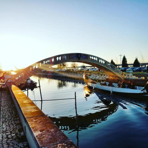 a bridge with a train on it over a river at SResende Place Aveiro in Aveiro