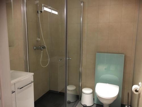 uma casa de banho com uma cabina de duche em vidro e um WC. em Sentrumsgården Motell AS em Presteid