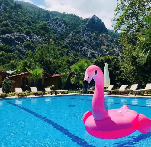 un flotador de flamenco rosa en una piscina en Dolunay Apart Hotel, en Cıralı