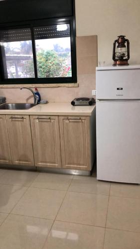 a kitchen with a refrigerator and a sink and a window at צימר בעמק in Kefar Ruppin