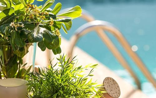 Φυσικό τοπίο κοντά σε αυτή η παραθεριστική κατοικία