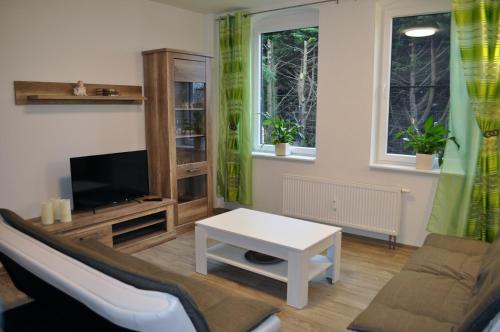 een woonkamer met een bank en een tv bij Gästehaus Am Wald Oschersleben in Oschersleben