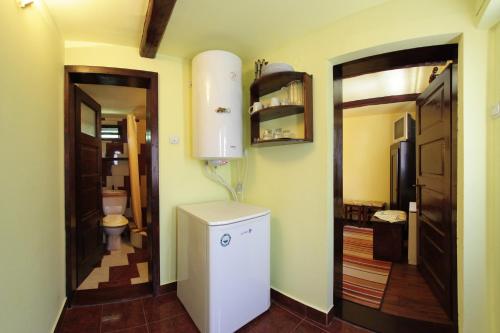 a bathroom with a small refrigerator and a toilet at Cabana Ana in Cavnic