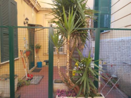 a fence with two potted plants in a backyard at Il rifugio di sav. in Rome