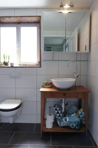 a bathroom with a sink and a toilet at The Mad Cow in Bönigen