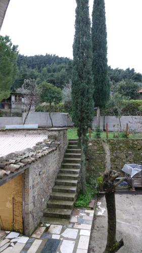 a person standing next to a set of stairs at The old olive mill house in Aegae