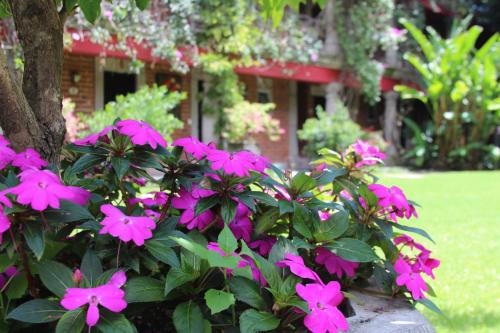 Φωτογραφία από το άλμπουμ του Las Calandrias σε Atlixco