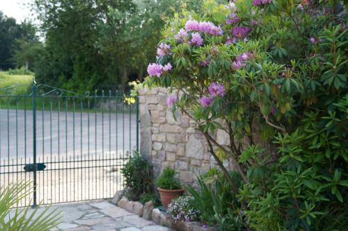 Κήπος έξω από το Relais Saint Aubin