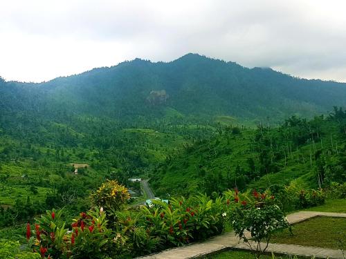 a view of a valley with a mountain in the background at Serenity Lodges Dominica in Marigot