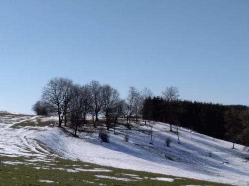 Vaux-sur-SûreにあるOh deer!の雪に覆われた丘