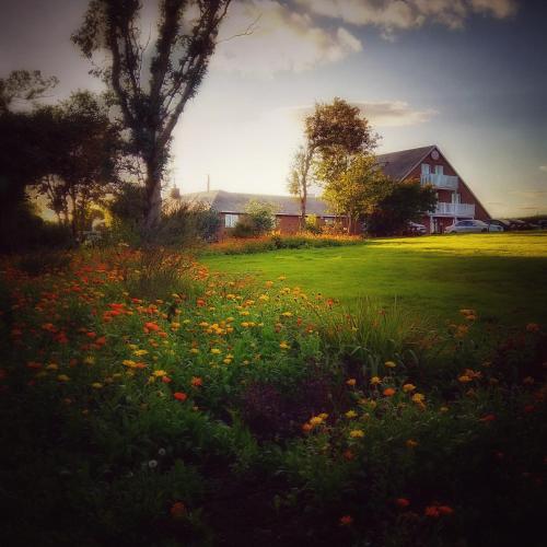 a field of flowers in front of a house at Coral Gables Guesthouse & Campsite in Rosslare