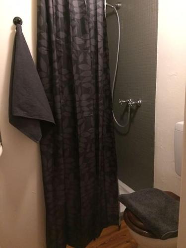 a shower with a black shower curtain in a bathroom at Ferienwohnung Alte Scheune in Egestorf