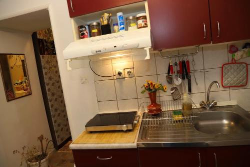 La cuisine est équipée d'un évier et d'un grille-pain. dans l'établissement Hana Apartments, à Subotica