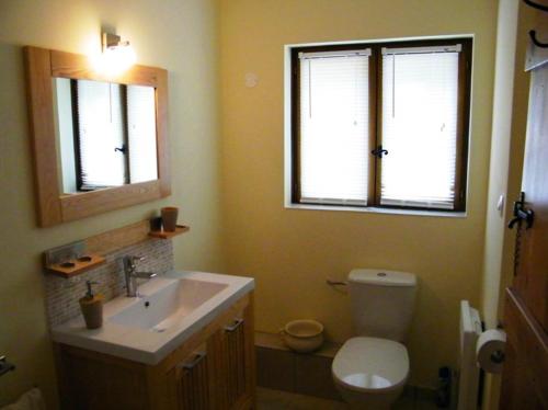 La salle de bains est pourvue d'un lavabo, de toilettes et d'un miroir. dans l'établissement The Tower, à Les Dognons
