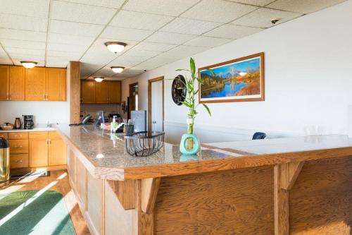 eine Küche mit einer Theke mit einer Pflanze darauf in der Unterkunft Motel 8 Rock Springs in Rock Springs