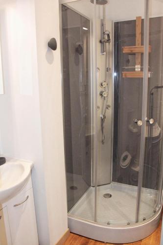 une douche avec une porte vitrée dans une salle de bain dans l'établissement Au ruisseau de Belle Isle, à Echinghen