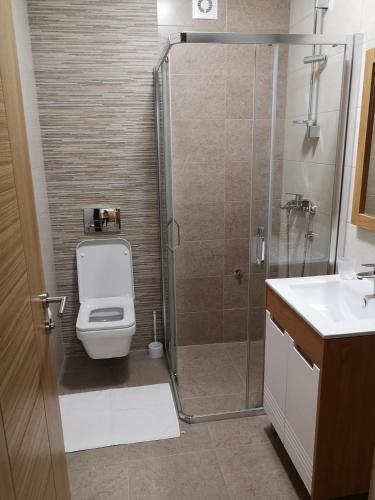 a bathroom with a shower and a toilet and a sink at Lovac apartmani in Zlatibor