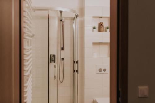 a shower with a glass door in a bathroom at Apartament 3 - Bliżej Zdroju in Polanica-Zdrój