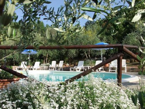 basen z leżakami i parasolami w ogrodzie w obiekcie Podere Val di Gallo w mieście Poggibonsi