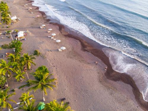 an overhead view of a beach with palm trees and the ocean at Hotel IBIZA Beach Boutique in Jacó
