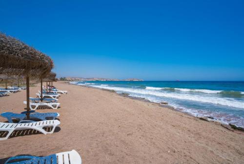 a beach with chairs and umbrellas and the ocean at Kaki in San Juan de los Terreros