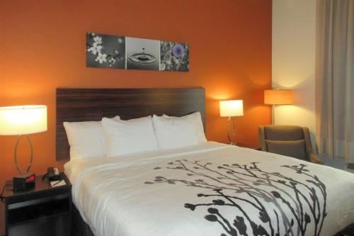 a hotel room with a bed and two lamps at Sleep Inn & Suites Oregon - Madison in Oregon