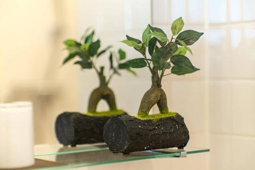 two potted plants sitting on a glass shelf at Villa Kamakura in Kamakura
