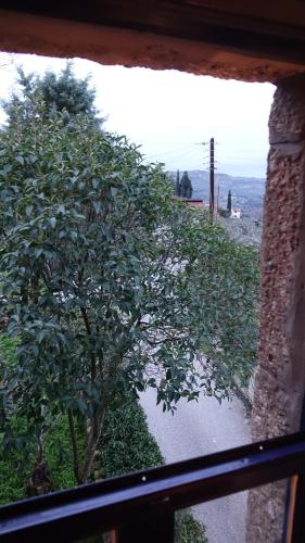 a view of a tree from a window at The old olive mill house in Aegae