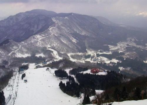a snow covered mountain with a ski slope with trees at Yonagoya in Kami