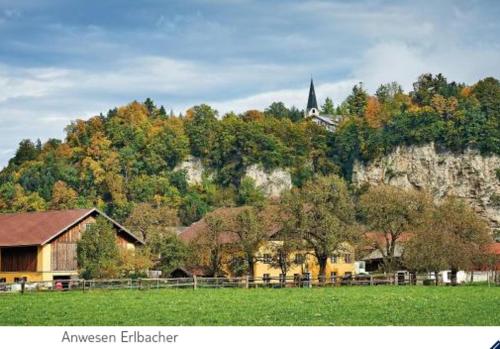 ein Feld mit einer Scheune und einem Hügel mit Bäumen in der Unterkunft Ferienwohnung Alpenblick in Kuchl
