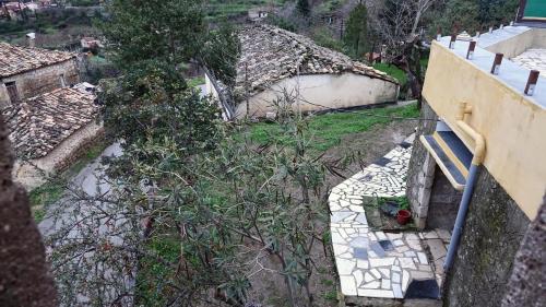 an overhead view of a yard with a tree at The old olive mill house in Aegae