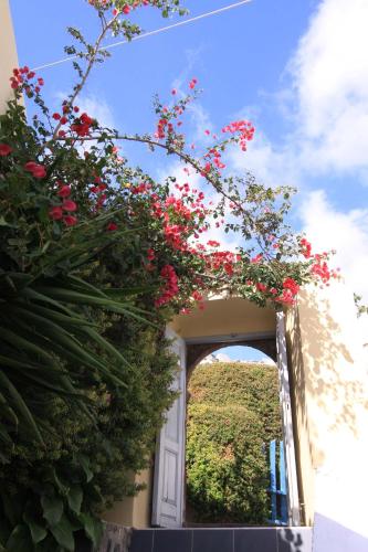 an archway with red flowers on a building at Ersi Villas in Firostefani