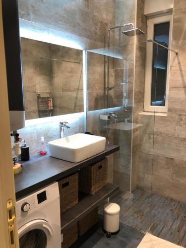 une salle de bain avec un lavabo et une douche en verre dans l'établissement California, à Nice