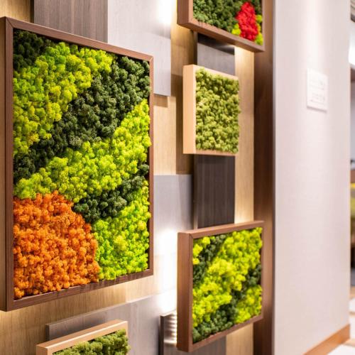 a wall with three pictures of different fruits and vegetables at Super Hotel Nagano Iida Inter in Iida